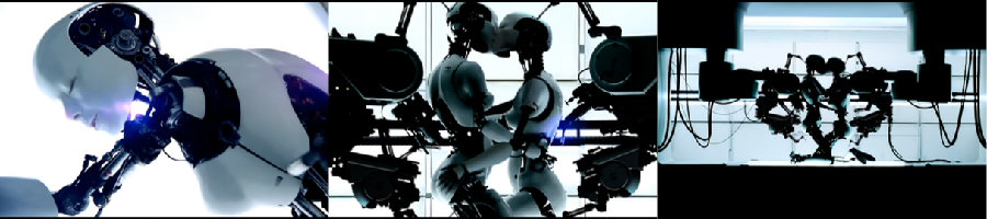 Bjork All is full of love video