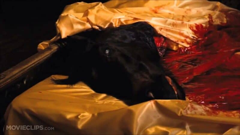 The Godfather cut horse head